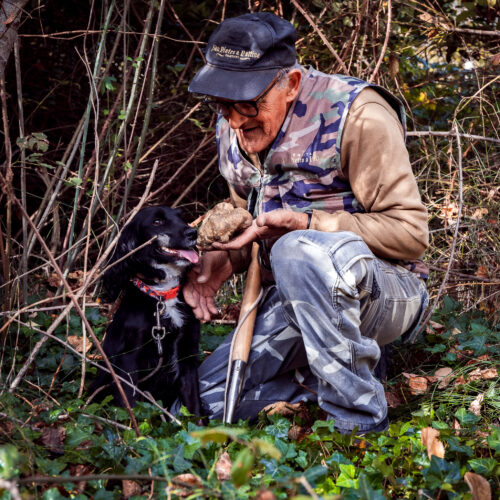 Umbria Truffle Hunting Experience with Brunch