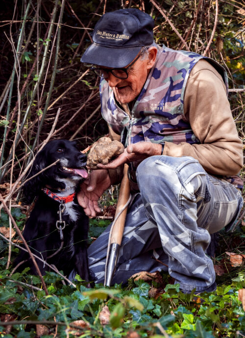 Umbria Truffle Hunting Experience with Brunch